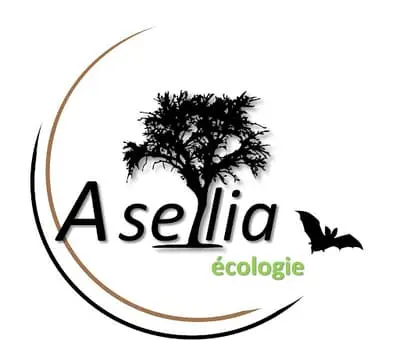 Logo Bureau d'étude ASELIA