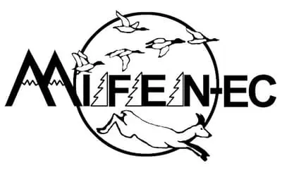 Logo Bureau d'études MIFENEC